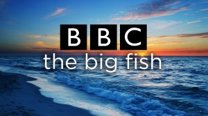 BBC The Big Fish.jpg